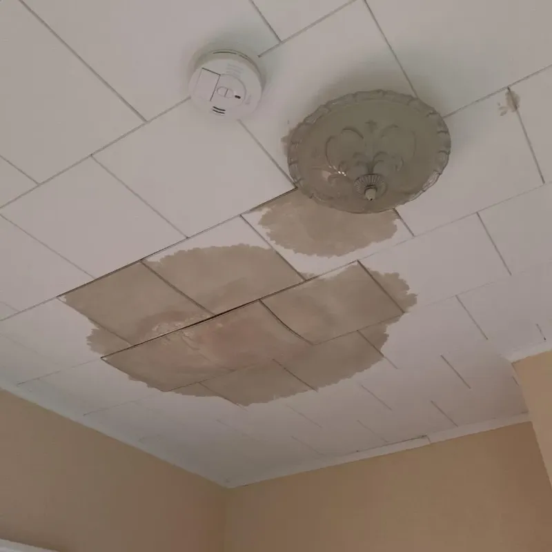 Ceiling Water Damage Repair in Gillette, WY