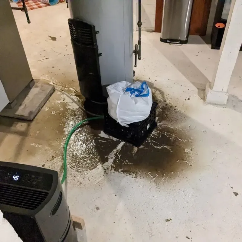 Sewage Backup Cleanup Service in Gillette, WY